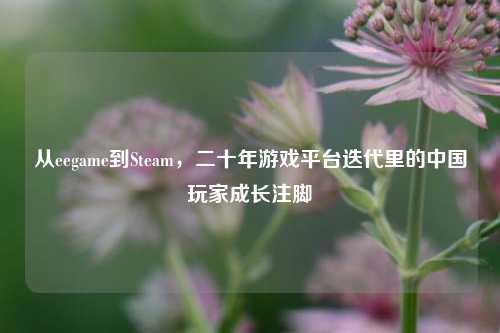从eegame到Steam，二十年游戏平台迭代里的中国玩家成长注脚