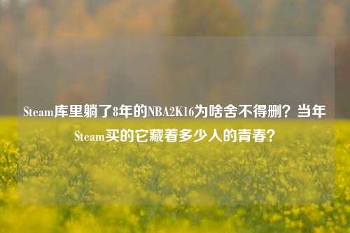 Steam库里躺了8年的NBA2K16为啥舍不得删?当年Steam买的它藏着多少人的青春?