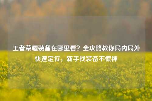 王者荣耀装备在哪里看？全攻略教你局内局外快速定位，新手找装备不慌神