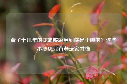 藏了十几年的CF端游彩蛋到底是干嘛的?这些小心思只有老玩家才懂
