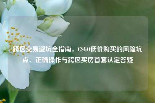 跨区交易避坑全指南，CSGO低价购买的风险坑点、正确操作与跨区买房首套认定答疑