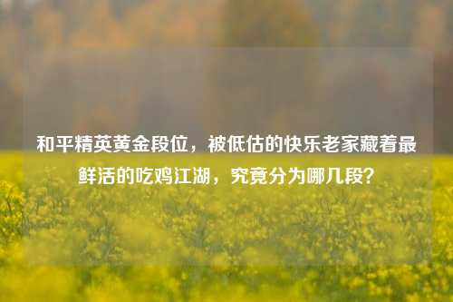 和平精英黄金段位，被低估的快乐老家藏着最鲜活的吃鸡江湖，究竟分为哪几段？