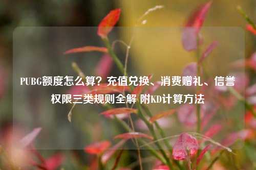 PUBG额度怎么算？充值兑换、消费赠礼、信誉权限三类规则全解 附KD计算方法