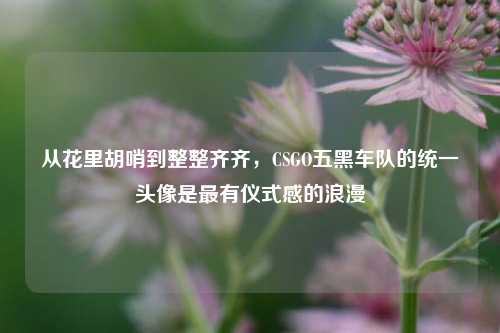 从花里胡哨到整整齐齐，CSGO五黑车队的统一头像是最有仪式感的浪漫