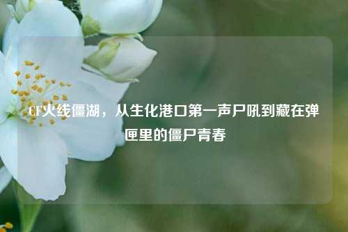 CF火线僵湖，从生化港口第一声尸吼到藏在弹匣里的僵尸青春