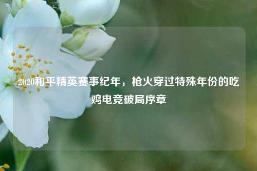 2020和平精英赛事纪年，枪火穿过特殊年份的吃鸡电竞破局序章