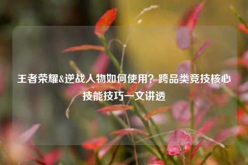 王者荣耀&逆战人物如何使用？跨品类竞技核心技能技巧一文讲透