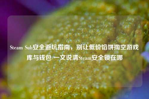 Steam Sub安全避坑指南，别让低价馅饼掏空游戏库与钱包 一文说清Steam安全锁在哪