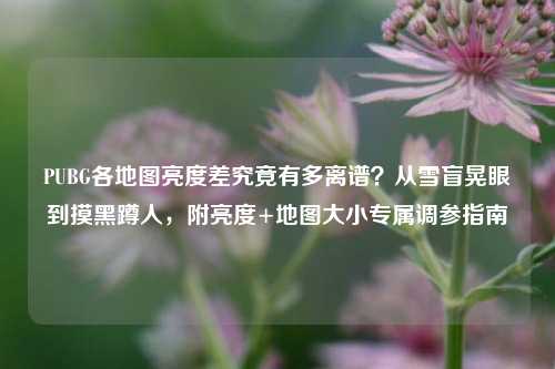 PUBG各地图亮度差究竟有多离谱？从雪盲晃眼到摸黑蹲人，附亮度+地图大小专属调参指南