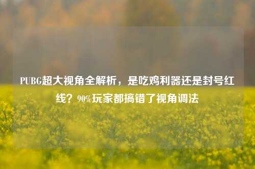 PUBG超大视角全解析，是吃鸡利器还是封号红线？90%玩家都搞错了视角调法