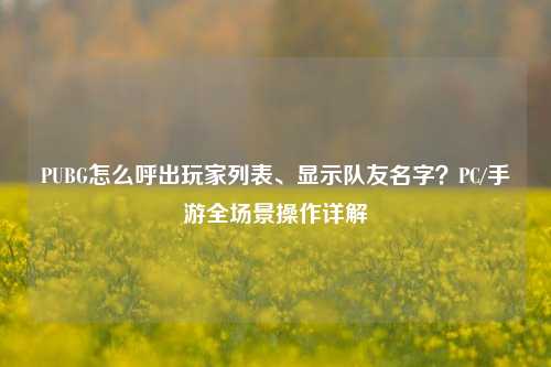 PUBG怎么呼出玩家列表、显示队友名字？PC/手游全场景操作详解
