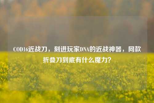COD16近战刀，刻进玩家DNA的近战神器，同款折叠刀到底有什么魔力？