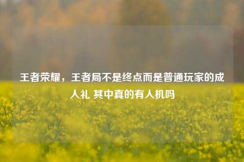 王者荣耀，王者局不是终点而是普通玩家的成人礼 其中真的有人机吗