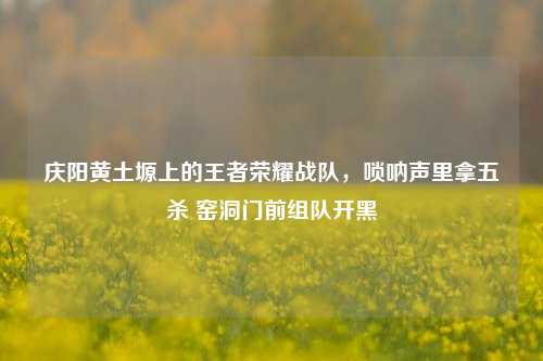 庆阳黄土塬上的王者荣耀战队，唢呐声里拿五杀 窑洞门前组队开黑