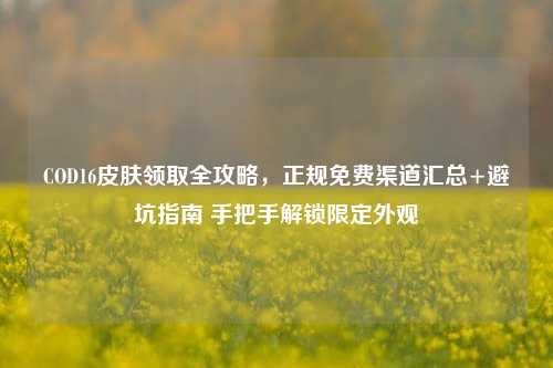 COD16皮肤领取全攻略，正规免费渠道汇总+避坑指南 手把手解锁限定外观