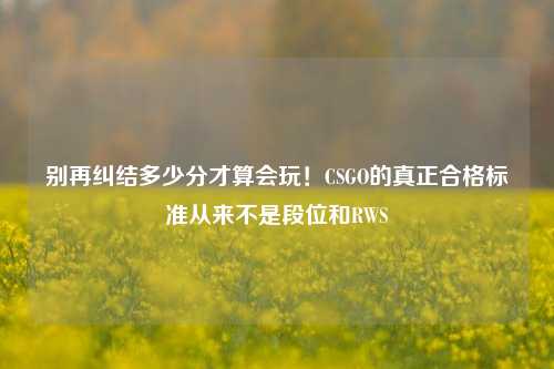 别再纠结多少分才算会玩!CSGO的真正合格标准从来不是段位和RWS
