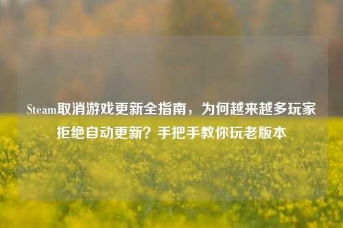 Steam取消游戏更新全指南，为何越来越多玩家拒绝自动更新？手把手教你玩老版本