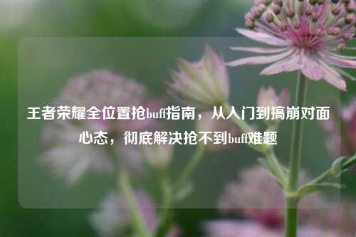 王者荣耀全位置抢buff指南，从入门到搞崩对面心态，彻底解决抢不到buff难题