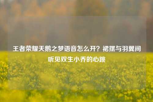 王者荣耀天鹅之梦语音怎么开？裙摆与羽翼间听见双生小乔的心跳