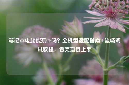 笔记本电脑能玩CF吗？全机型适配指南+流畅调试教程，看完直接上手