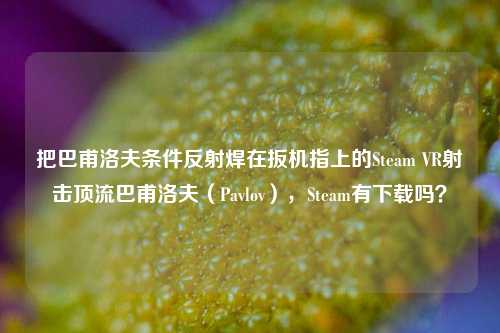 把巴甫洛夫条件反射焊在扳机指上的Steam VR射击顶流巴甫洛夫（Pavlov），Steam有下载吗？