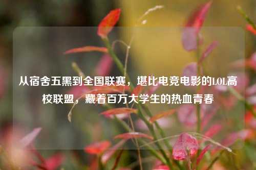从宿舍五黑到全国联赛，堪比电竞电影的LOL高校联盟，藏着百万大学生的热血青春