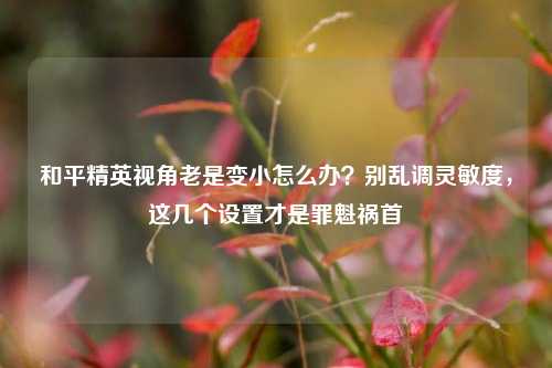 和平精英视角老是变小怎么办？别乱调灵敏度，这几个设置才是罪魁祸首