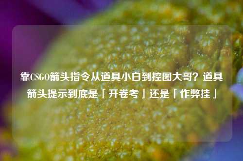 靠CSGO箭头指令从道具小白到控图大哥？道具箭头提示到底是「开卷考」还是「作弊挂」