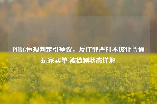 PUBG违规判定引争议，反作弊严打不该让普通玩家买单 被检测状态详解