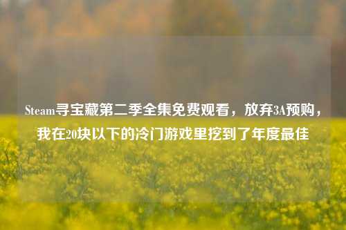 Steam寻宝藏第二季全集免费观看，放弃3A预购，我在20块以下的冷门游戏里挖到了年度最佳