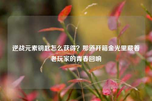 逆战元素钥匙怎么获得?那道开箱金光里藏着老玩家的青春回响