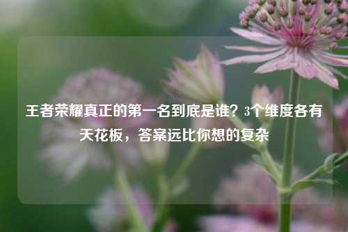 王者荣耀真正的第一名到底是谁？3个维度各有天花板，答案远比你想的复杂