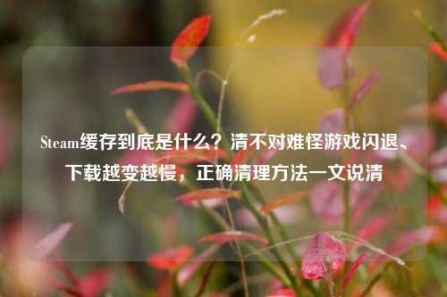 Steam缓存到底是什么？清不对难怪游戏闪退、下载越变越慢，正确清理方法一文说清