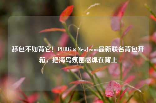 舔包不如背它！PUBG×NewJeans最新联名背包开箱，把海岛氛围感焊在背上