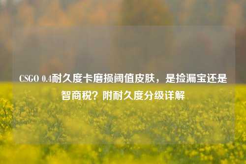 CSGO 0.4耐久度卡磨损阈值皮肤，是捡漏宝还是智商税？附耐久度分级详解