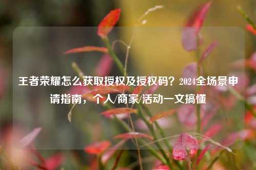 王者荣耀怎么获取授权及授权码？2024全场景申请指南，个人/商家/活动一文搞懂