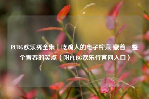 PUBG欢乐秀全集｜吃鸡人的电子榨菜 藏着一整个青春的笑点（附PUBG欢乐行官网入口）