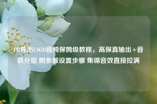 PR导出CSGO音频保姆级教程，高保真输出+音轨分层 附参数设置步骤 集锦音效直接拉满