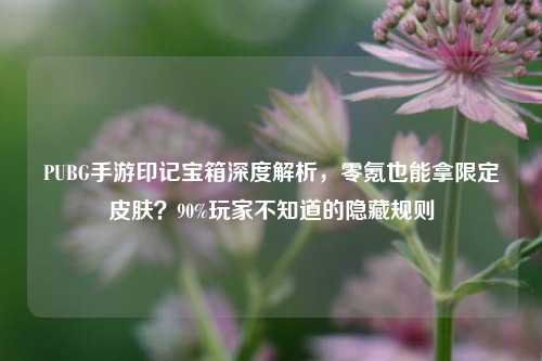 PUBG手游印记宝箱深度解析,零氪也能拿限定皮肤?90%玩家不知道的隐藏规则