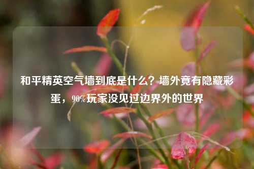 和平精英空气墙到底是什么？墙外竟有隐藏彩蛋，90%玩家没见过边界外的世界