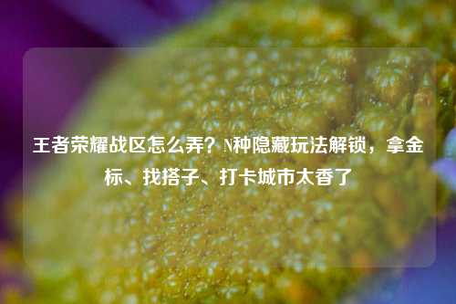 王者荣耀战区怎么弄？N种隐藏玩法解锁，拿金标、找搭子、打卡城市太香了