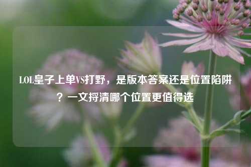 LOL皇子上单VS打野，是版本答案还是位置陷阱？一文捋清哪个位置更值得选
