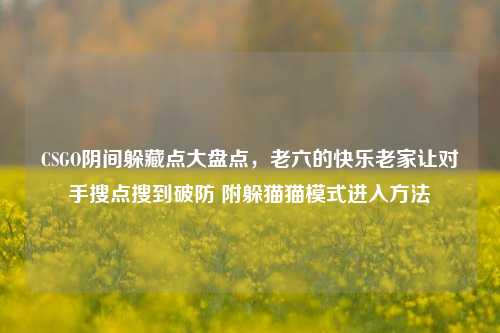 CSGO阴间躲藏点大盘点，老六的快乐老家让对手搜点搜到破防 附躲猫猫模式进入方法