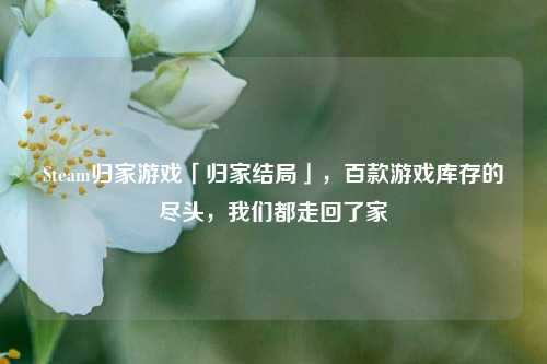 Steam归家游戏「归家结局」,百款游戏库存的尽头,我们都走回了家