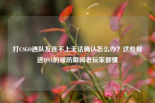 打CSGO遇队友连不上无法确认怎么办？这些刻进DNA的破防瞬间老玩家都懂
