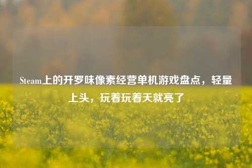 Steam上的开罗味像素经营单机游戏盘点，轻量上头，玩着玩着天就亮了