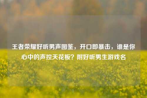 王者荣耀好听男声图鉴，开口即暴击，谁是你心中的声控天花板？附好听男生游戏名