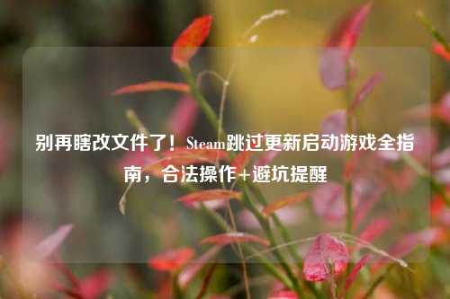 别再瞎改文件了！Steam跳过更新启动游戏全指南，合法操作+避坑提醒