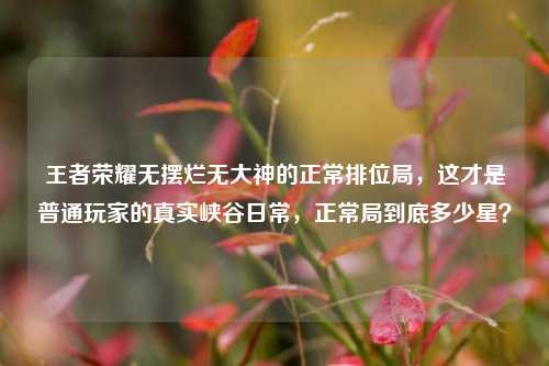 王者荣耀无摆烂无大神的正常排位局，这才是普通玩家的真实峡谷日常，正常局到底多少星？