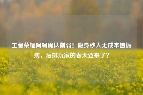 王者荣耀阿轲确认削弱！隐身秒人无成本遭诟病，后排玩家的春天要来了？
